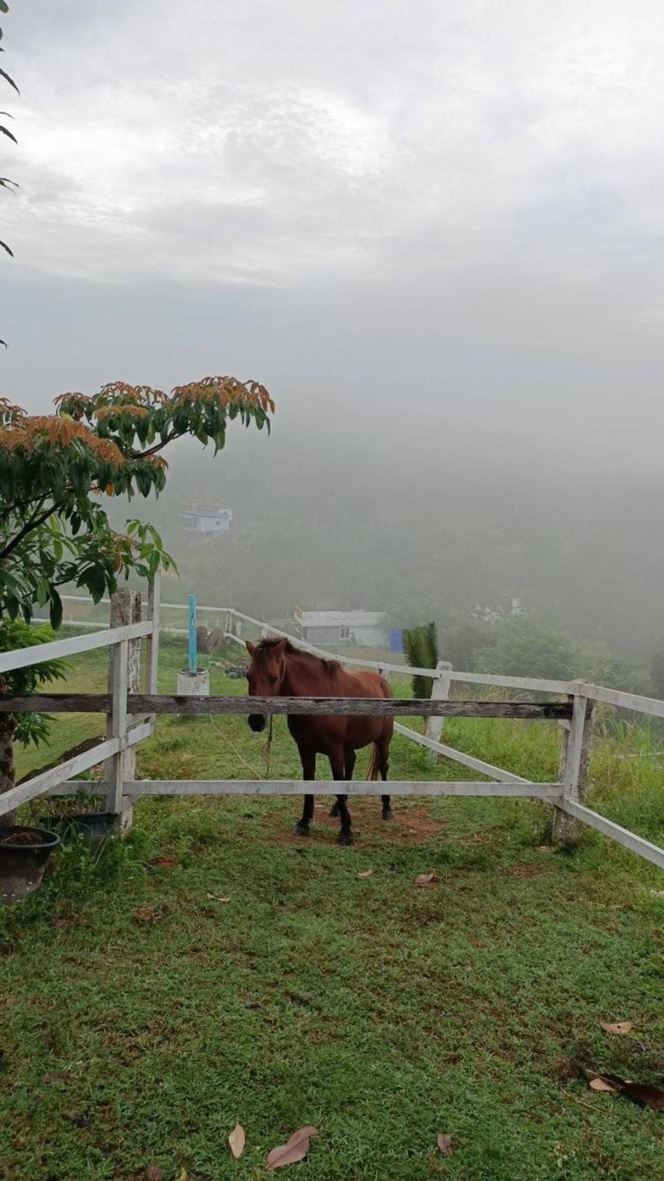 Phang Nga Viewpoint Ngoại thất bức ảnh